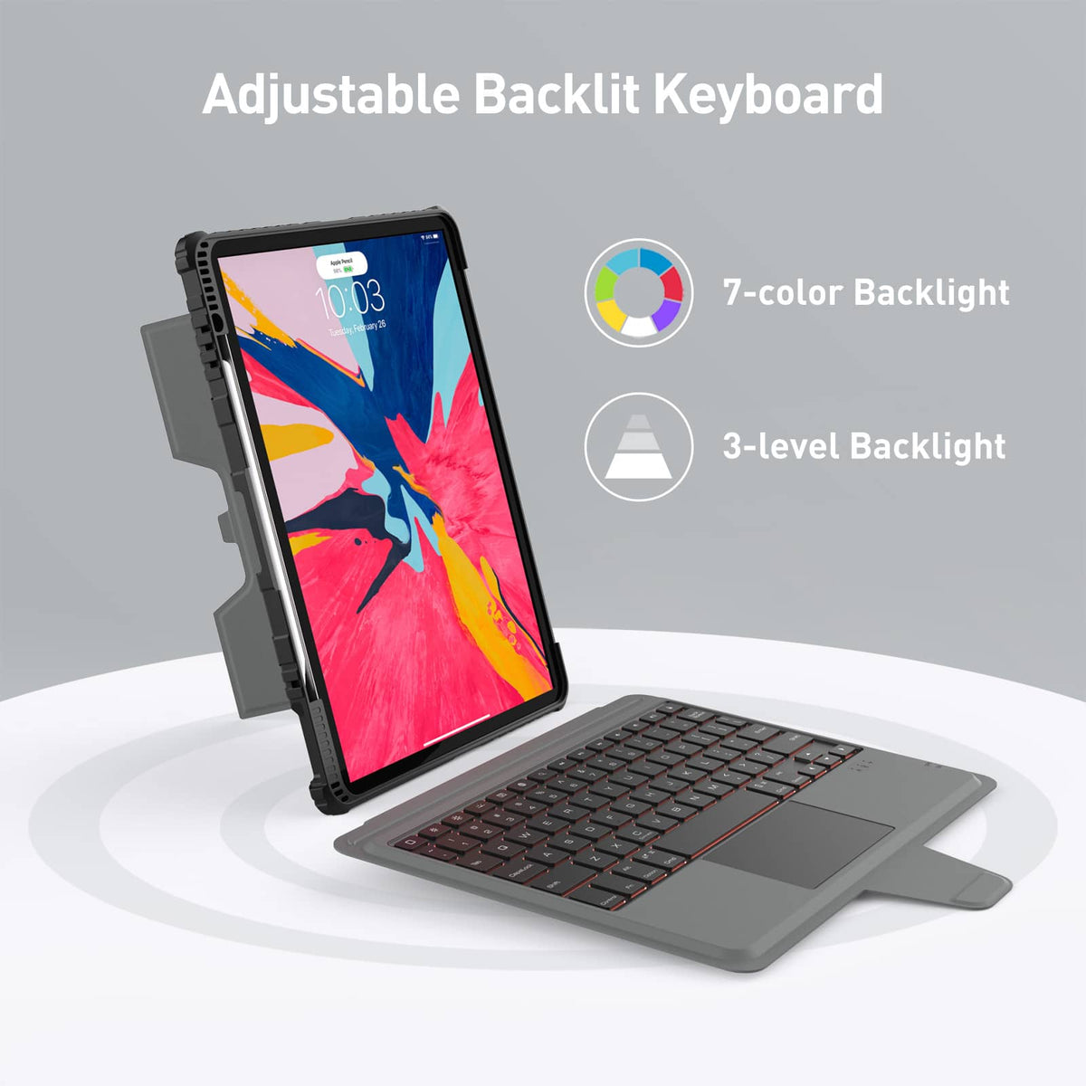 Backlit 10.2 inch iPad (7th/8th/9th Gen)